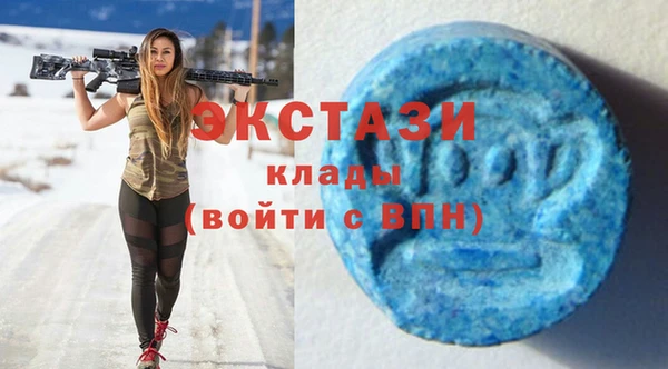 твердый Тайга