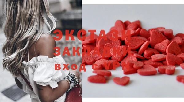 твердый Тайга